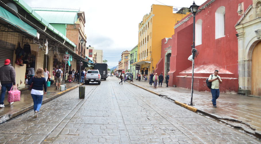 Piden extender programa Un Día sin Ambulantes en Oaxaca. Noticias en tiempo real