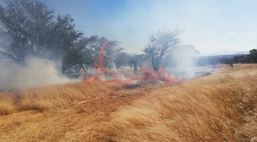 Incendios arrasan con pastizales en Lomas de Santa Cruz. Noticias en tiempo real