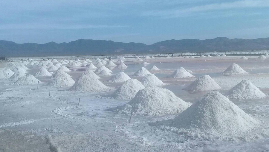 Productores de sal del Istmo buscan mercado para el mineral. Noticias en tiempo real