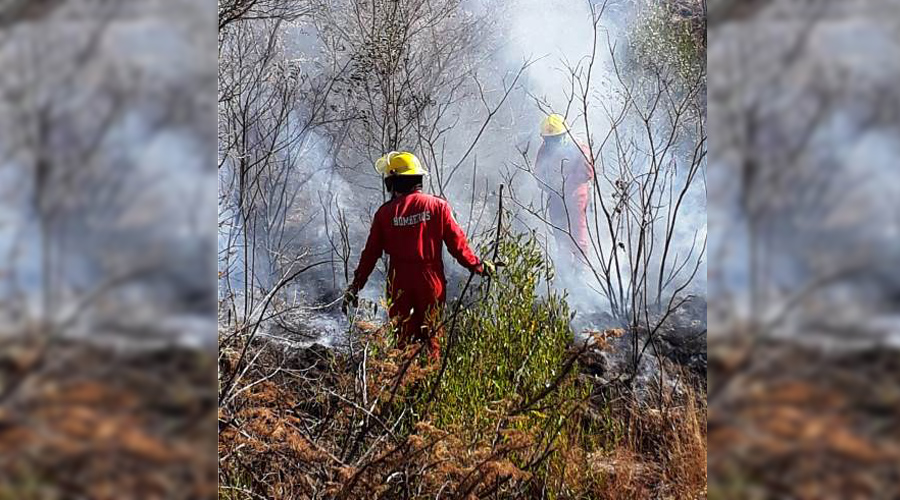Fuego consume hectáreas de pastizales en Huajolotitlán. Noticias en tiempo real
