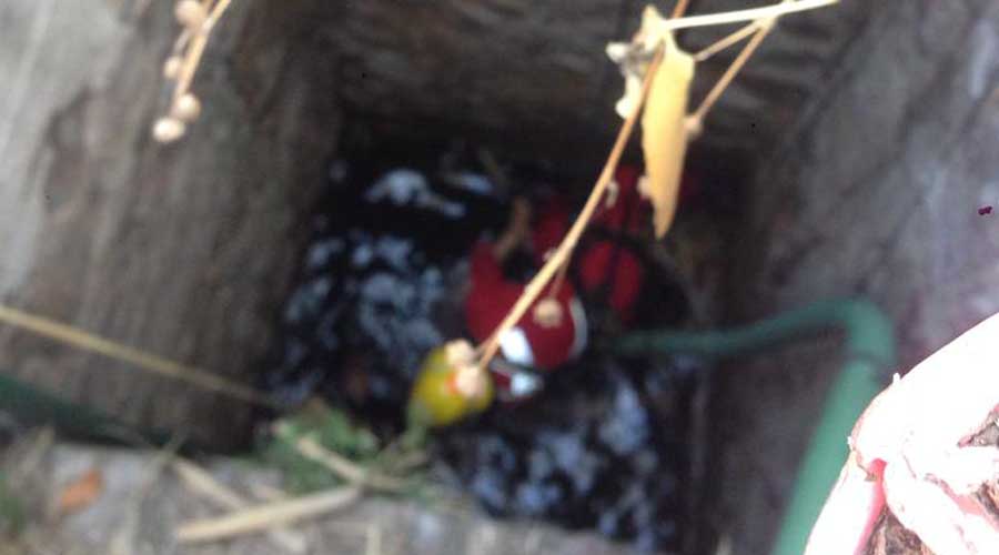 Hombre de la tercera edad cae al fondo de un pozo en Huajuapan. Noticias en tiempo real