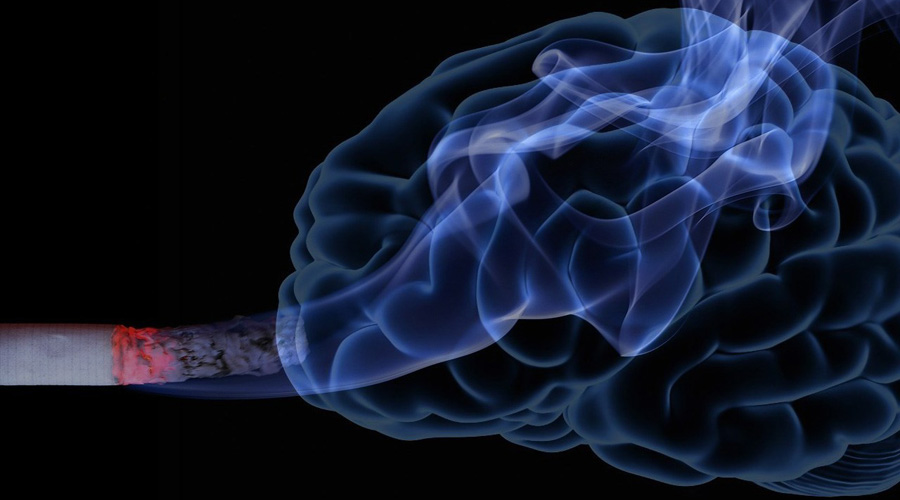 ¿Qué pasa en tus neuronas cuando fumas?. Noticias en tiempo real