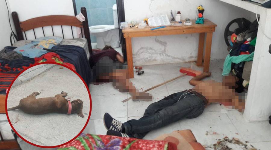 Ejecutan a pareja y a su mascota en Juchitán | El Imparcial de Oaxaca Ejecutan a pareja y a su mascota en Juchitán | El Imparcial de Oaxaca
