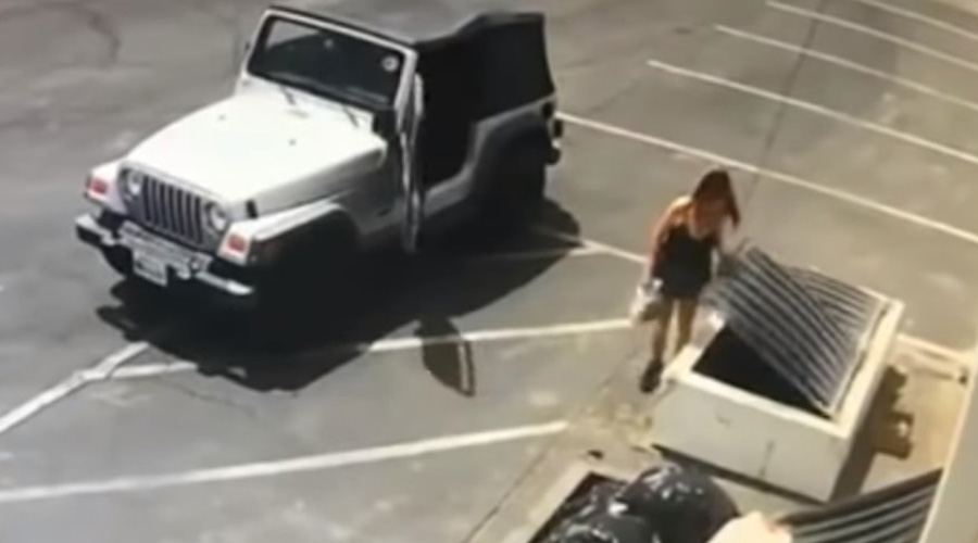 Video: Arrestan a mujer por tirar perritos a la basura | El Imparcial de Oaxaca Video: Arrestan a mujer por tirar perritos a la basura | El Imparcial de Oaxaca