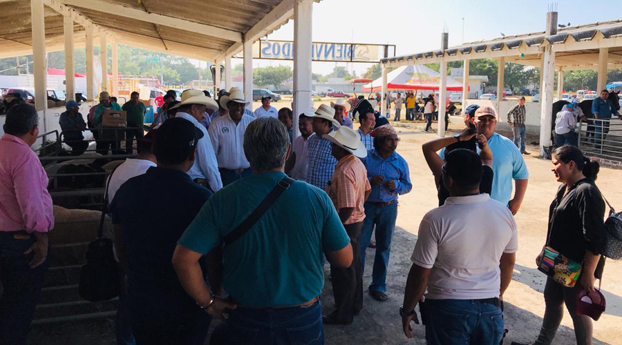 Realizan el primer tianguis agropecuario en Juchitán