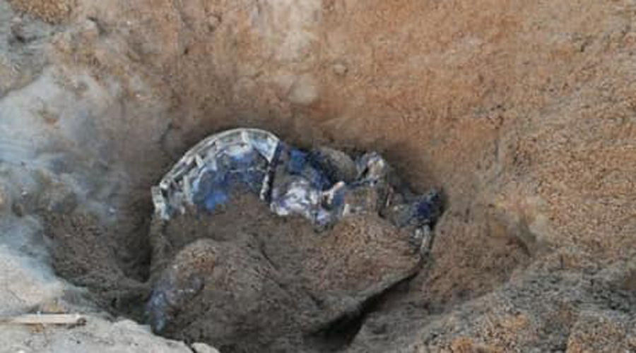 Aparecen tortugas muertas en diferentes playas de Huatulco