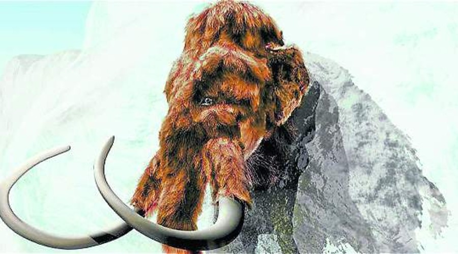 El mamut podría ser ‘revivido’, según estudio | El Imparcial de Oaxaca
