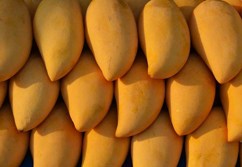 Mango listo para conquistar Italia, Suiza y Holanda | El Imparcial de Oaxaca