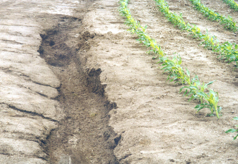 CNDH urge contrarrestar degradación del suelo en México | El Imparcial de Oaxaca