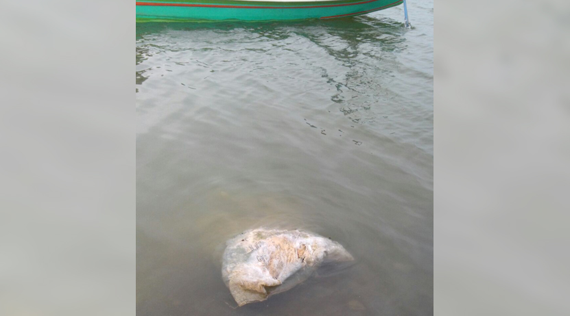 Flotan dos costales  con restos humanos en San Pedro Ixcatlán | El Imparcial de Oaxaca