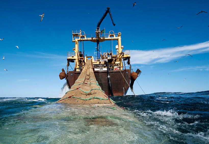 En el Istmo piden frenar la pesca ilegal