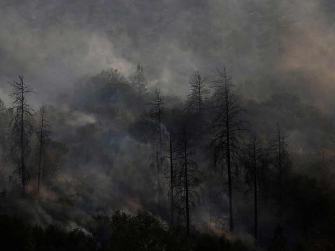Voraz incendio forestal destruye 29 estructuras en California | El Imparcial de Oaxaca