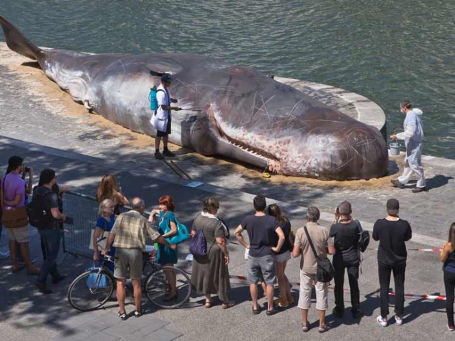 Aparece ‘ballena varada’ en el río Sena de París | El Imparcial de Oaxaca
