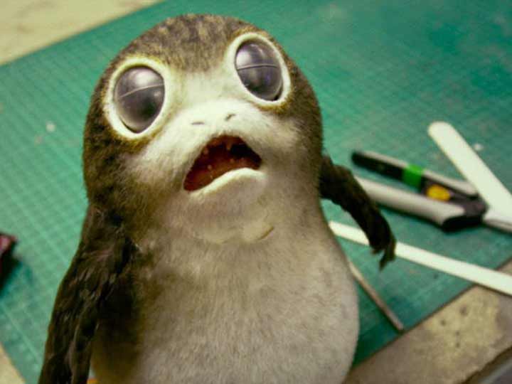 Así son los porgs, las nuevas criaturas de ‘Star Wars’ | El Imparcial de Oaxaca