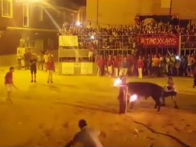 Video: Toro se ‘suicida’ para escapar de la crueldad humana | El Imparcial de Oaxaca