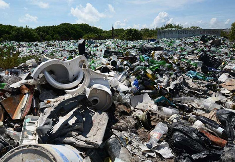 Retiran 12 toneladas de basura en isla de Holbox | El Imparcial de Oaxaca Retiran 12 toneladas de basura en isla de Holbox | El Imparcial de Oaxaca