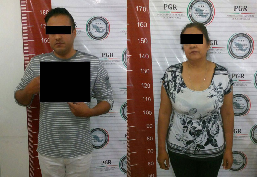 Detienen a pareja por los delitos de Captación Irregular de Recursos | El Imparcial de Oaxaca