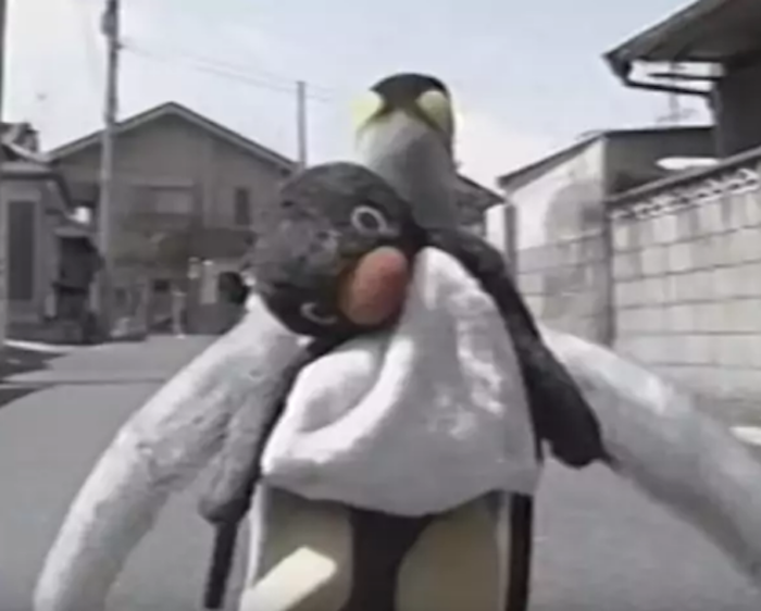 Lala, la pingüina que busca y pone su cena en una mochila de Pingu | El Imparcial de Oaxaca