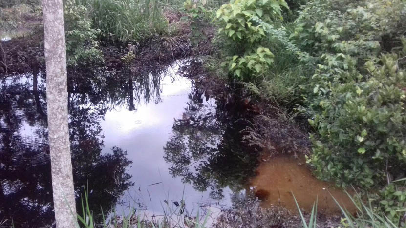 Derrame de crudo afecta ríos y terrenos de siembra en Matías Romero | El Imparcial de Oaxaca