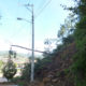 Cae árbol por deslave de cerro en Tlaxiaco