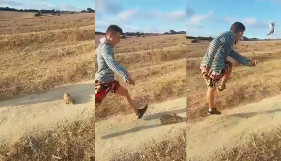 Sujeto grita “¡Cristiano… Ronaldo!” y patea a un conejo en un campo | El Imparcial de Oaxaca