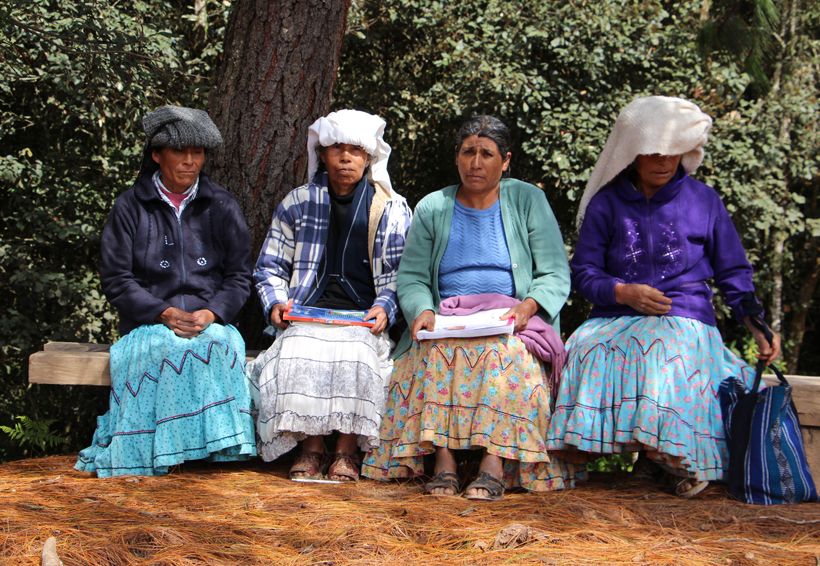 Sólo en la Cuenca el 45% de indígenas habla una lengua materna