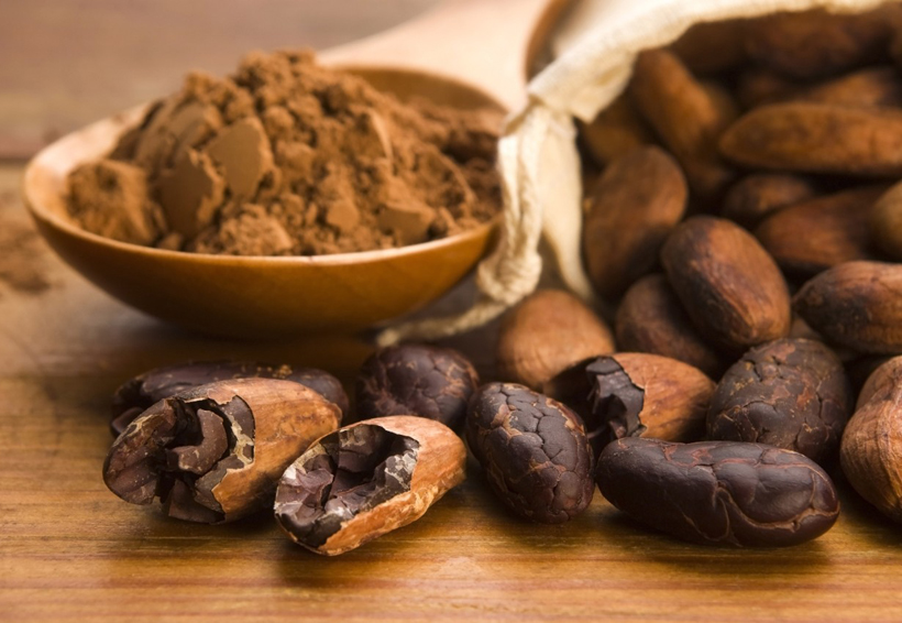 Cacao previene infartos y regula los triglicéridos | El Imparcial de Oaxaca