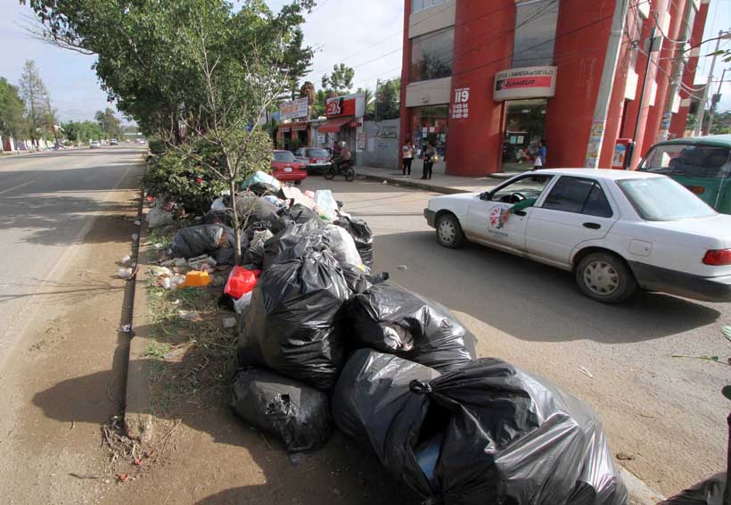 En Oaxaca, llaman a no tirar basura en las calles | El Imparcial de Oaxaca