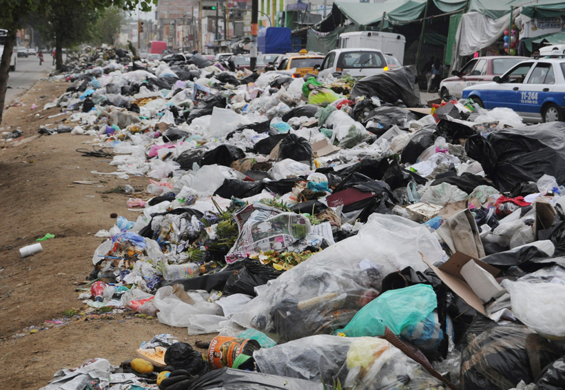 Proponen talleres para el manejo de basura orgánica en Oaxaca de Juárez | El Imparcial de Oaxaca