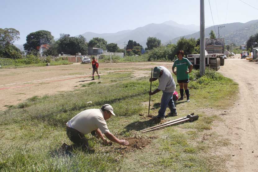 Ponen el ejemplo Liga de Futbol 7 de San Jacinto; reforestan campos | El Imparcial de Oaxaca