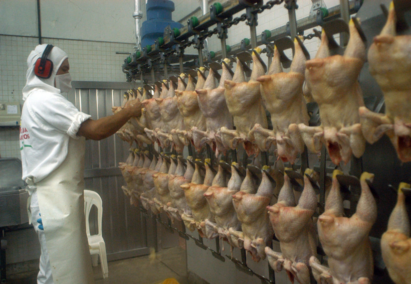 Profeco y avicultores realizarán monitoreo para detectar alzas injustificadas en pollo y huevo | El Imparcial de Oaxaca
