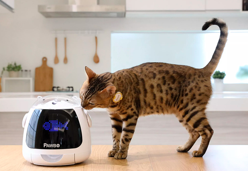 Acer presenta el primer dispensador inteligente para mascotas | El Imparcial de Oaxaca