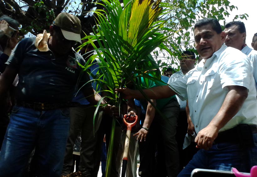 Inician en Tuxtepec, Oaxaca primera etapa de  reforestación del Muro Boulevard Francisco Fernández