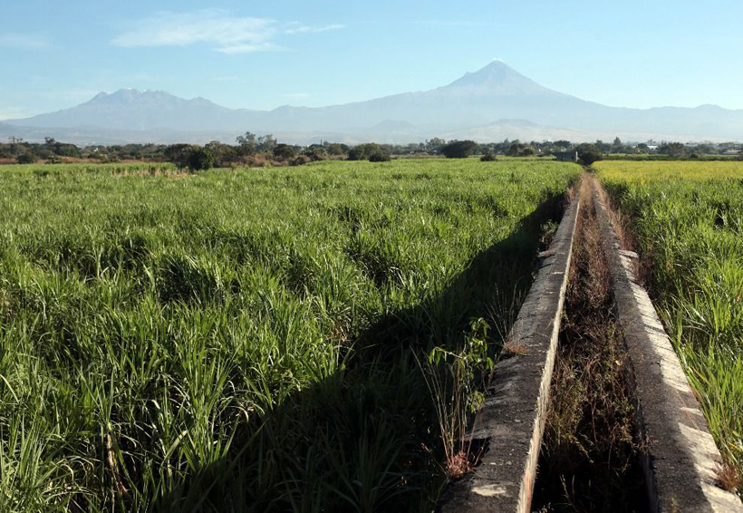 Campesinos piden consulta sobre el capítulo agropecuario en el TLCAN | El Imparcial de Oaxaca