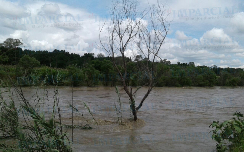 Video: Inundaciones por crecida del Atoyac y arroyos afectan Oaxaca