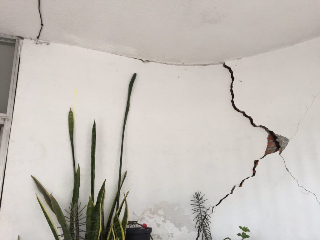 Patrones que expongan a trabajadores en edificios afectados tras los sismos podrían ser sancionados | El Imparcial de Oaxaca