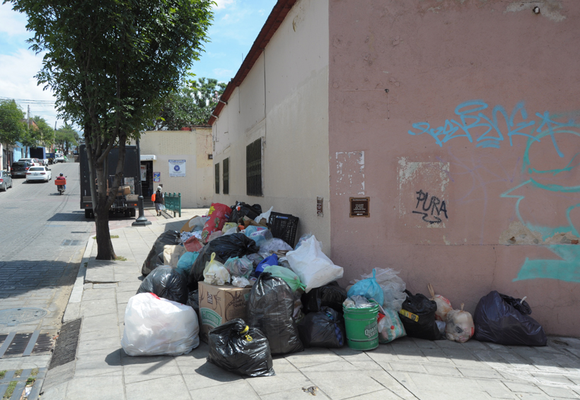 En Oaxaca sancionarán a ciudadanos que tiren basura en la vía pública