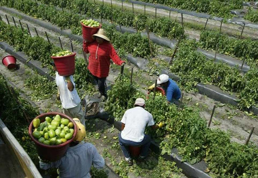 ONU presenta observaciones al informe de México sobre trabajadores migratorios | El Imparcial de Oaxaca