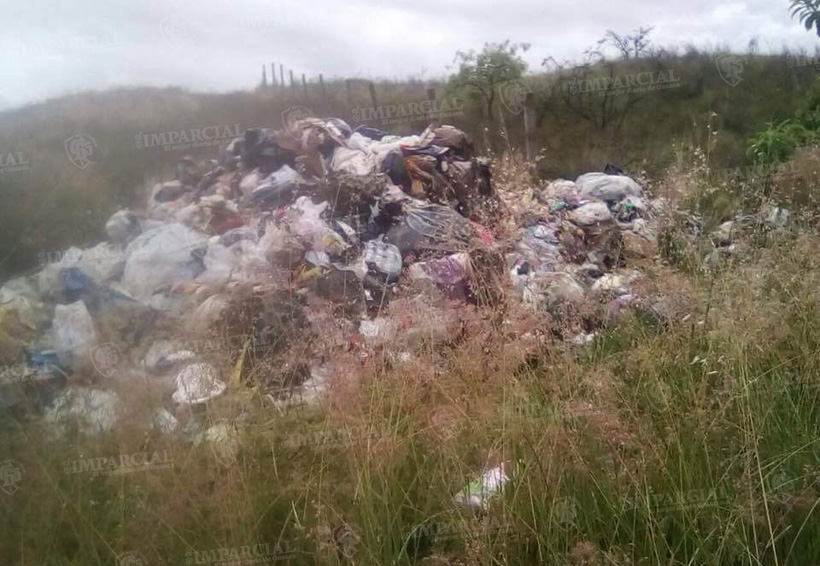 Depositan toneladas de basura en Santo Domingo Barrio Alto, Oaxaca | El Imparcial de Oaxaca