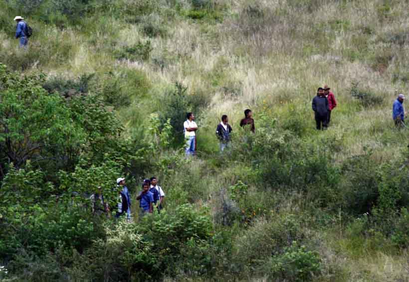 Es momento de frenar deterioro ambiental: Semarnat | El Imparcial de Oaxaca