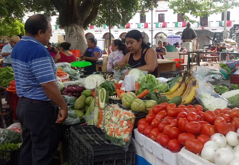 Comerciantes del Istmo convierten el parque en su mercado | El Imparcial de Oaxaca
