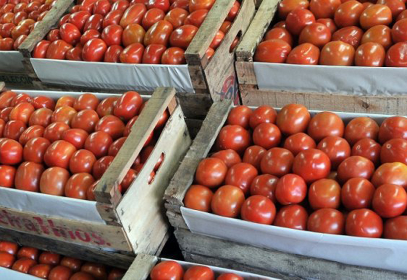 Feria del tomate reúne a productores en Tlaxiaco | El Imparcial de Oaxaca