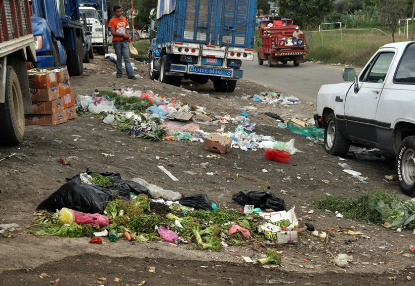 Buscan concientizar a capitalinos en Oaxaca sobre la basura | El Imparcial de Oaxaca Buscan concientizar a capitalinos en Oaxaca sobre la basura | El Imparcial de Oaxaca