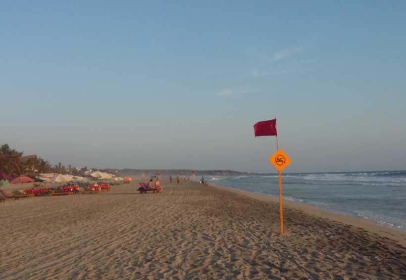 Solicita Comité de Playas Limpias de Zicatela, barredora de playa