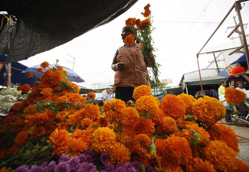 En el Istmo esperan buenas ventas en Día de Muertos | El Imparcial de Oaxaca