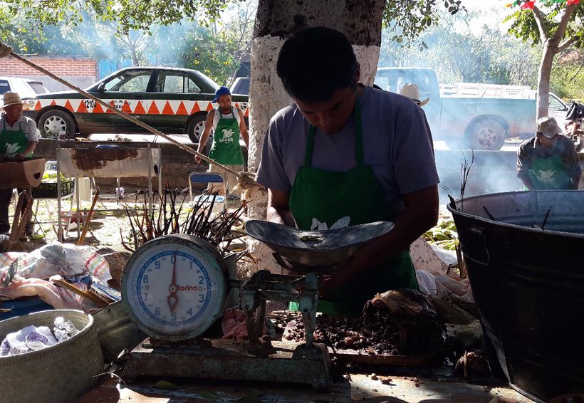 En San Pedro Yodoyuxi preservan consumo de maíces criollos