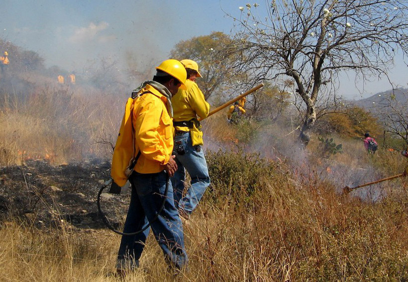 Pago tardío a brigadistas en Oaxaca, por errores de Coesfo