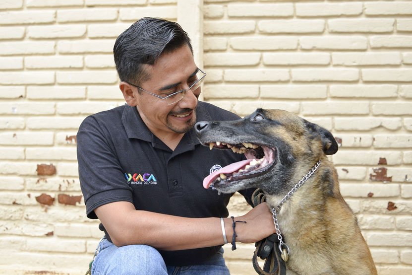 Balto y guía rescatan dos vidas humanas en la CDMX | El Imparcial de Oaxaca Balto y guía rescatan dos vidas humanas en la CDMX | El Imparcial de Oaxaca