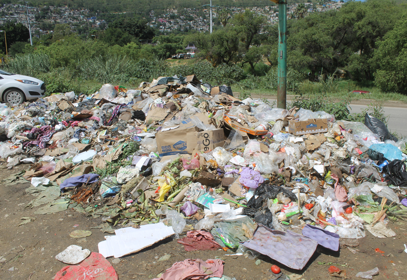 Reinician descarga de toneladas de basura en el tiradero municipal de Oaxaca | El Imparcial de Oaxaca