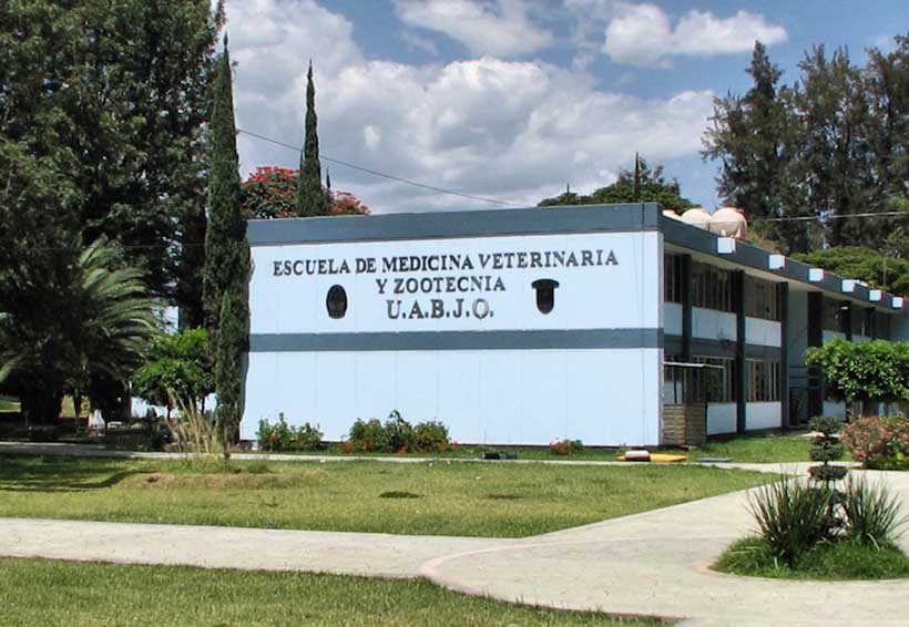 Reanudarán clases en edificio de Enfermería en Oaxaca | El Imparcial de Oaxaca